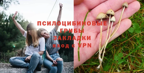 прущая мука Покров