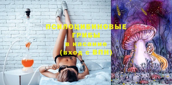 твердый Алексин