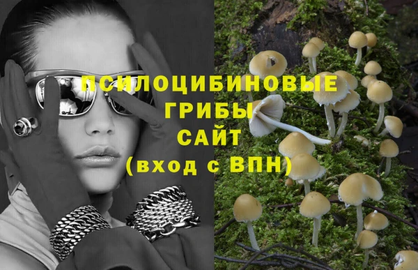 молекула духа Абдулино