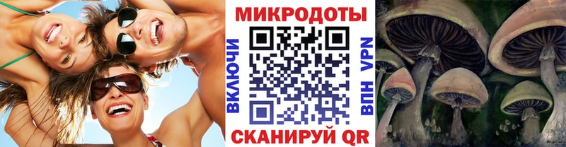 наркошоп  Мирный  Псилоцибиновые грибы прущие грибы 