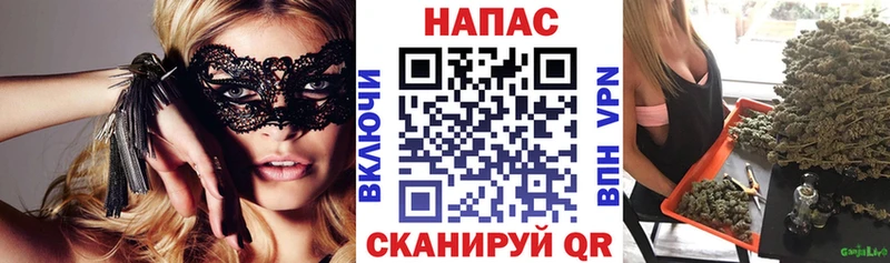 Бошки марихуана ГИДРОПОН  купить закладку  Мирный 